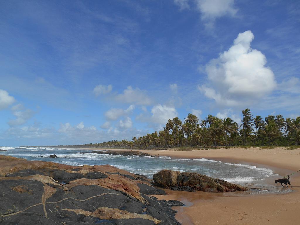 Pousada Aracas Village Imbassai Buitenkant foto